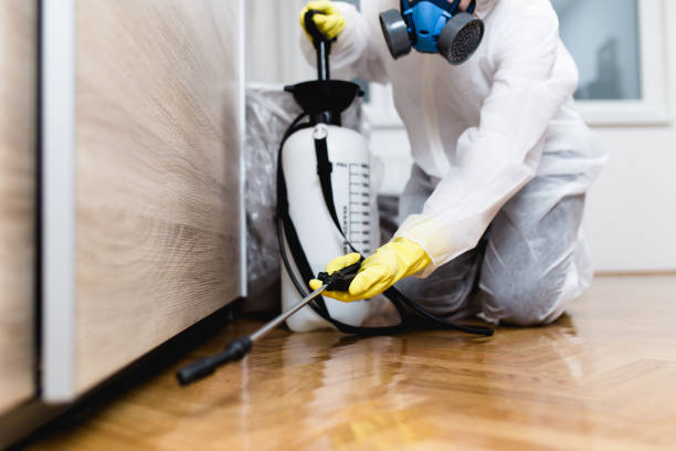Best Affordable Pest Control Services  in Haubstadt, IN