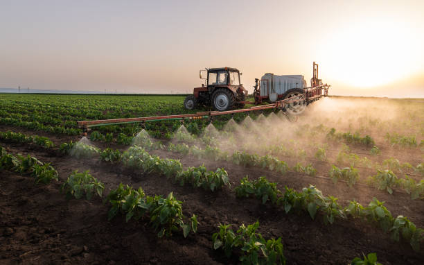 Pest Prevention Services in Haubstadt, IN