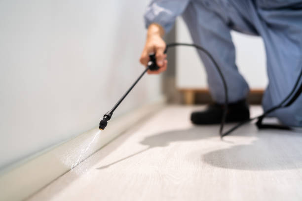 Best Pest Control for Homes  in Haubstadt, IN