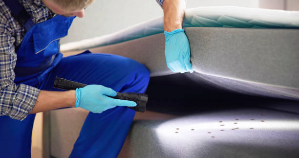Best Pest Inspection Near Me  in Haubstadt, IN