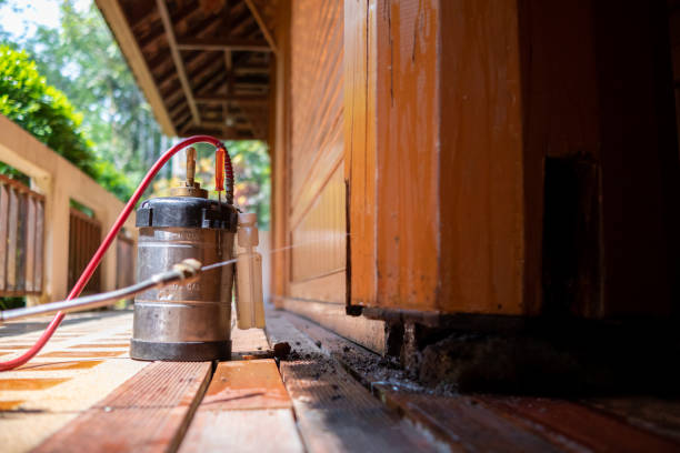 Best Pest Prevention Services  in Haubstadt, IN