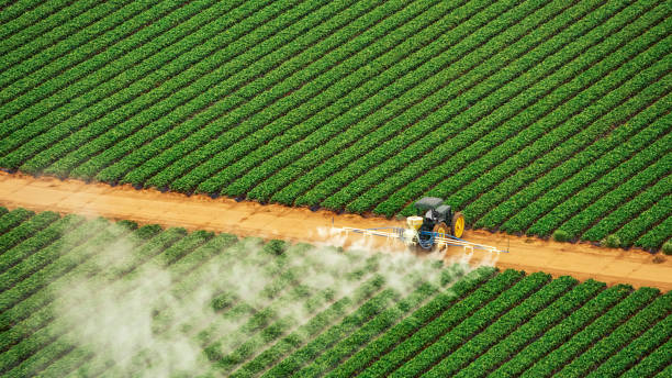 Best Mosquito Control Services  in Haubstadt, IN