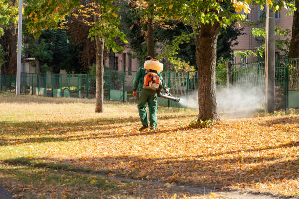 Best Emergency Pest Control  in Haubstadt, IN